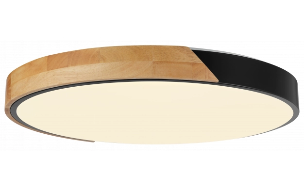 LED stropna svetilka 48W CCT les-črna OPTONICA